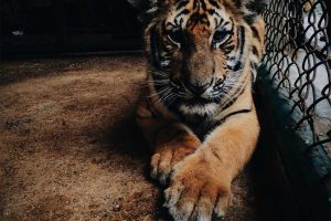 Gérer son temps efficacement en 2025 grâce à l’IA