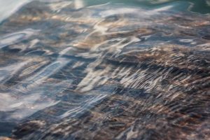 Sujets de blog tendance 2025 – 50 idées de catégories