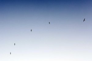 Voici 50 sujets de blog sur les finances pour 2025 en français