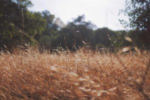 Conseils pour réussir votre transition professionnelle en 2026